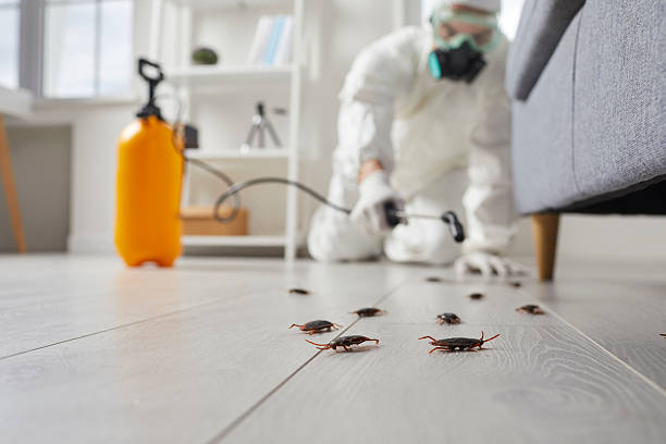 Commercial Kitchen Cockroach Control in Beechwood Village